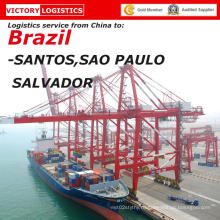 Доставка/морские Перевозки/логистика от всех портов Китая в Бразилию